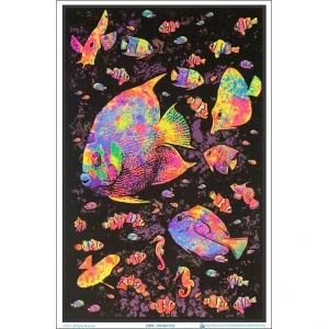 Painted Fish Flocked Blacklight Poster - 23" x 35"