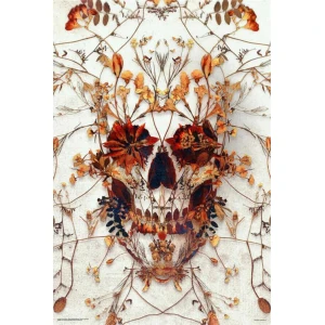 Delicate Skull by Ali Gulec Poster - 24" x 36"