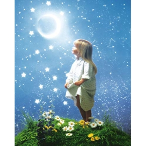 Le Niut Enchantee Poster - 16" x 20"