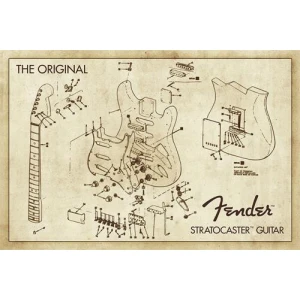 Fender Stratocaster Guitar Diagram Poster - 36" x 24"
