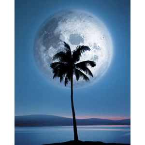 Dreamland Palm Tree & Moon Poster - 16" x 20"