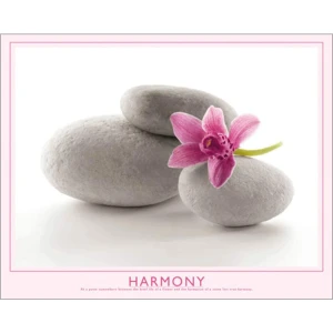 Harmony Poster - 16" x 20"