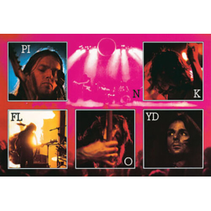 Pink Floyd Live Collage Poster - 36" x 24"