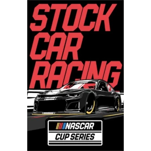 Nascar Stock Car Racing Poster - 24" x 36"