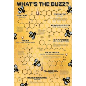 What's the Buzz? Poster - 24" x 36"