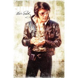 Elvis Presley - Cool - Poster - 24" x 36"