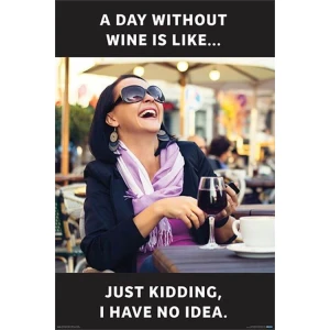 A Day Without Wine Poster 24" x 36"