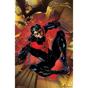 Nightwing Poster - 22.375" x 34"
