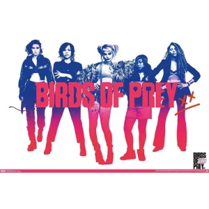Birds of Prey Poster - 22.375" x 34"