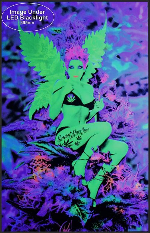 8270-Weed-Fairy.jpg