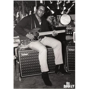 Bo Diddley Poster - 23.5" x 33"