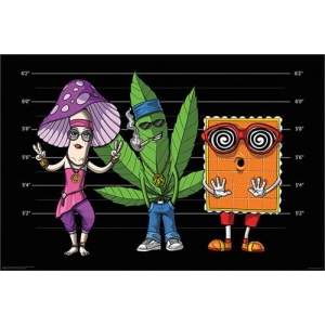 Psychedelic Mugshot Poster 36" x 24"