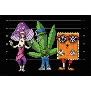 Psychedelic Mugshot Poster 36" x 24"