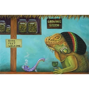 Get Medicated Poster 36" x 24"