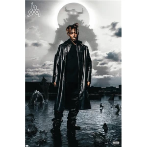 Juice WRLD - Fighting Demons Album Cover Poster - 22.375" x 34"