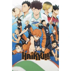 Haikyu!! - Key Art Season 1 - Anime Poster 24 x 36 in.