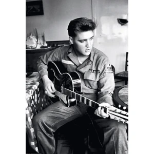 Elvis Presley Guitar Music Poster - 24" x 36"