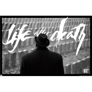The Notorious B.I.G. - Life After Death Poster - 34" x 22.375"