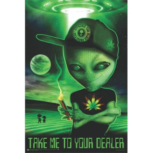 Take Me to Your Dealer by Ali Chris Poster - 24" x 36"