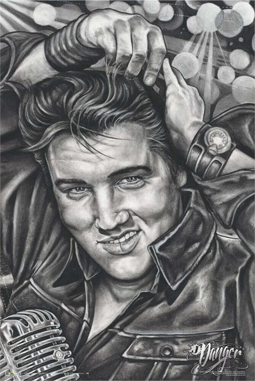 BB1380-Elvis-by-James-Danger-Harvey.jpg