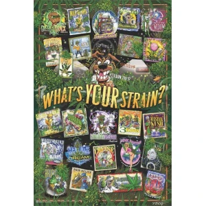 T-Dog Weed Strains Poster - 24" x 36"