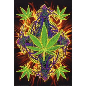Flaming Leaf Poster - 24" x 36"