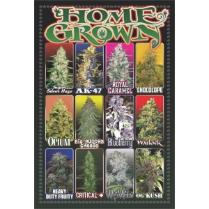 Home Grown Poster - 24" x 36"