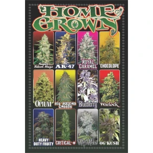 Home Grown Poster - 24" x 36"