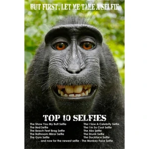 Top Ten Selfies - Monkey Selfie Poster - 24" x 36"