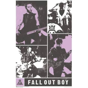 Fall Out Boy Panel Poster - 24" x 36"