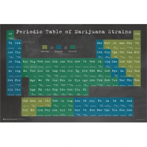 Periodic Table of Marijuana by Ali Potman Poster - 24" x 36"