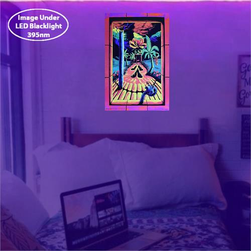 BLNF055-Wall-Lit.jpg