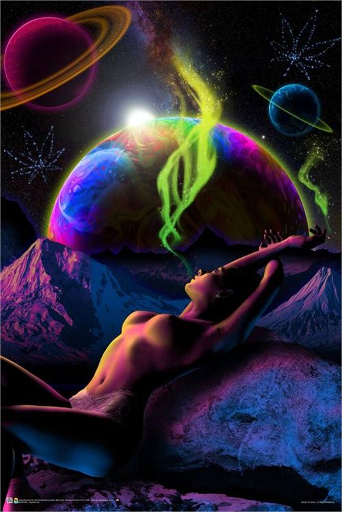 BLNF080-Spaced-Out-by-PJ-Gravy-24x36-1.jpg