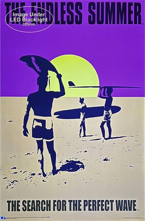 BLNF120-Endless-Summer-Lit.jpg