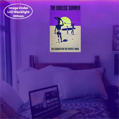 BLNF120-Endless-Summer-wall-Lit.jpg