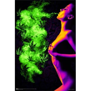 Too Hot to Handle Non-Flocked Blacklight Poster - 24" x 36"