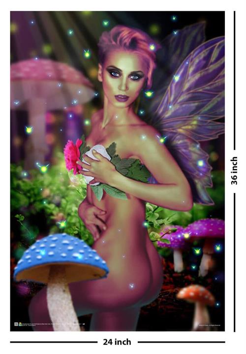 BLNF160-Pixie-Dreams-by-PJ-Gravy-24×36-2.jpg