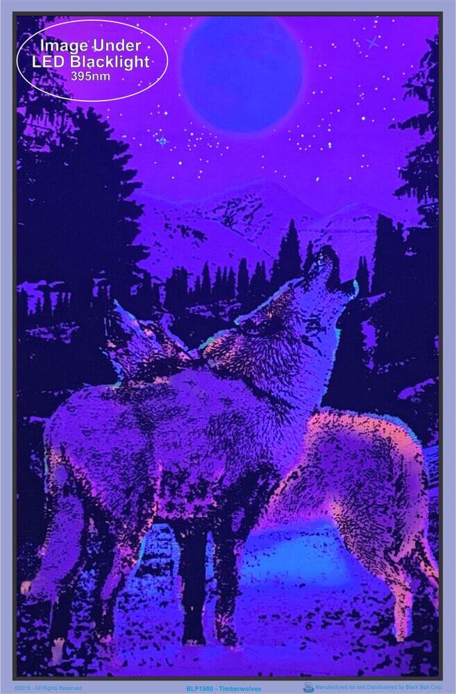 BLP1980-timberwolves-blacklight-poster-1.jpg