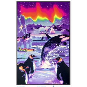 Arctic Aurora Flocked Blacklight Poster - 23" x 35"