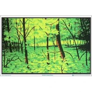 Summer Woods Flocked Blacklight Poster - 35" x 23"