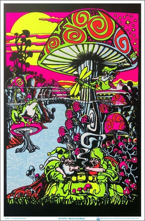 BLP2110-mushroom-magic.jpg
