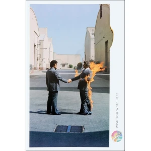 Pink Floyd "Burning" Poster - 24" x 36"