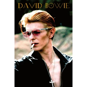 David Bowie - Rebel Poster