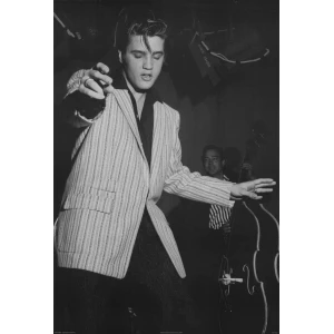 Elvis Presley Black & White Poster - 24" x 36"