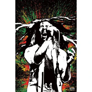 Bob Marley Splash Poster - 24" x 36"