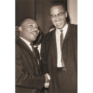 The Meeting - Malcolm x & MLK Poster - 24" x 36"
