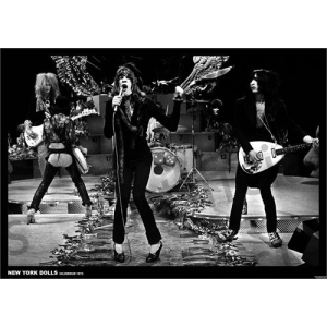 New York Dolls Hilversum 1973 Poster - 33.5" x 23"