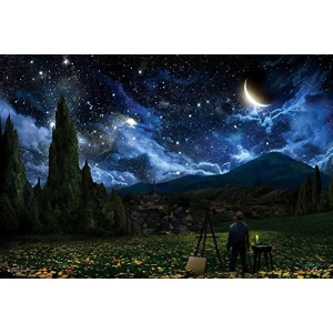 Starry Night Artist - Poster - 36" x 24"