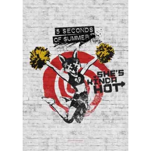 5 Seconds of Summer - She's Kinda Hot Fabric Poster - 30" x 40"