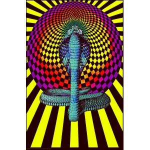 Spellbound Cobra - Non-Flocked Blacklight Poster - 24" x 36"